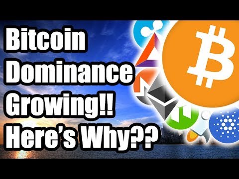 Why Is Bitcoin Dominance Increasing?? Why Are Altcoins Being Drained?? [Cryptocurrency News]